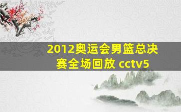 2012奥运会男篮总决赛全场回放 cctv5